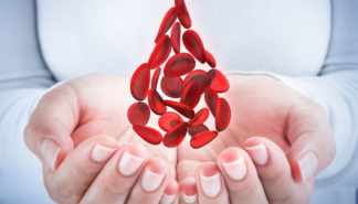 bigstock blood cells in hands shaped 85942694